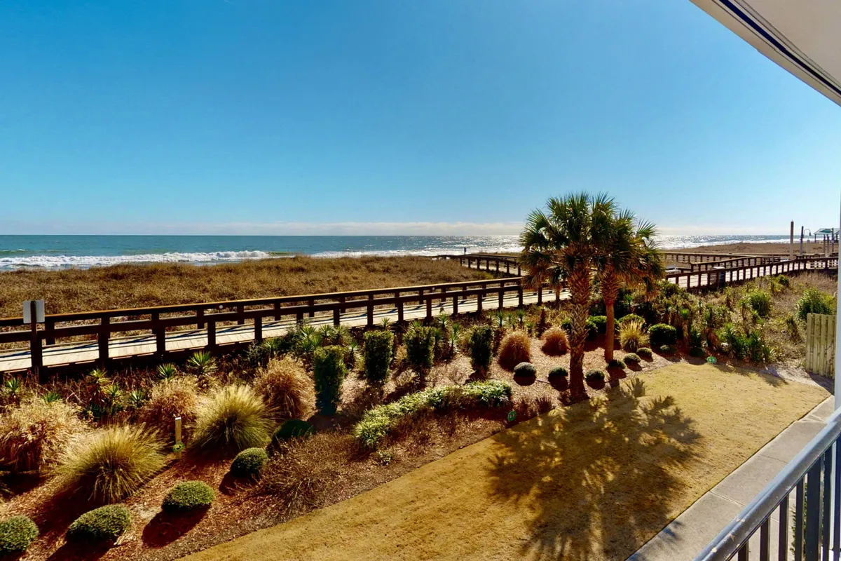 This image features the iconic Carolina Beach boardwalk with palm trees, landscaped gardens, and the ocean in the background. The boardwalk stretches alongside the shore, inviting visitors to stroll, while the scene radiates a lively yet serene beach-town atmosphere.