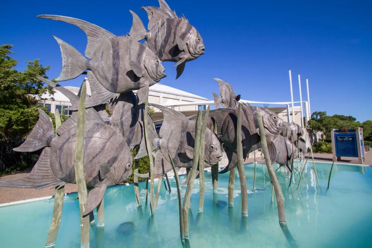 A lively exterior view featuring large, playful fish sculptures and a water feature surrounded by greenery. The area is bright and engaging, ideal for enjoying art installations, taking photos, or simply relaxing outdoors.