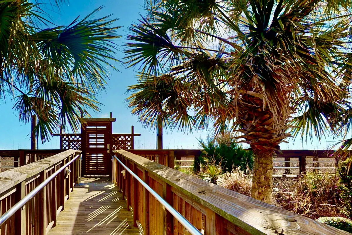 A tranquil exterior scene featuring a wooden walkway shaded by palm trees and leading up to a gate structure, surrounded by lush greenery. The lighting suggests either early morning or sunset, creating a peaceful and inviting mood.